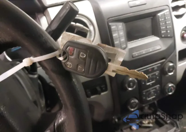 1FTFW1EFXDFC81786: 44132174