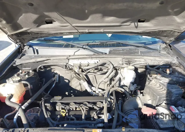 1FMCU9D71BKB50439: 44133580