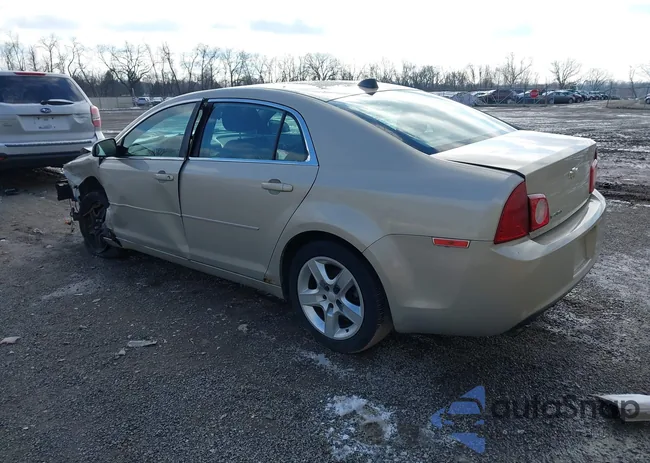 1G1ZB5E05CF216542: 44133943