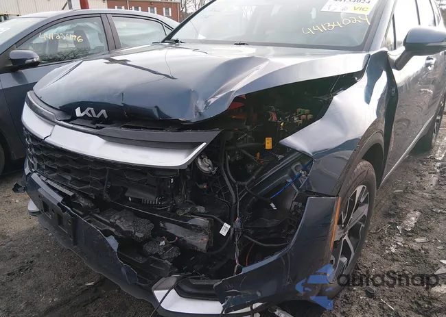 KNDPVCDG9S7252140: 44134024