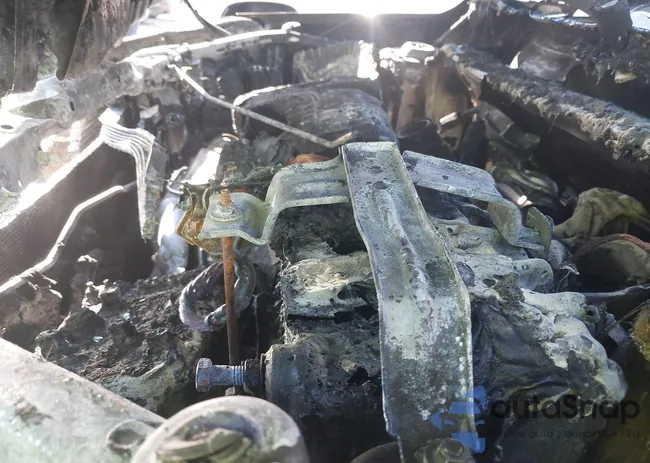 3GKALPEG8PL199861: 44134139