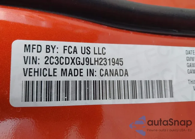 2C3CDXGJ9LH231945: 44135877