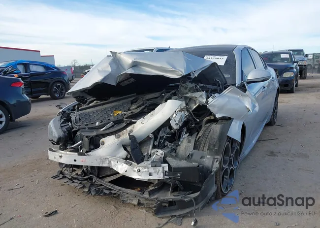 ZARFAMBN3N7655071: 44136045