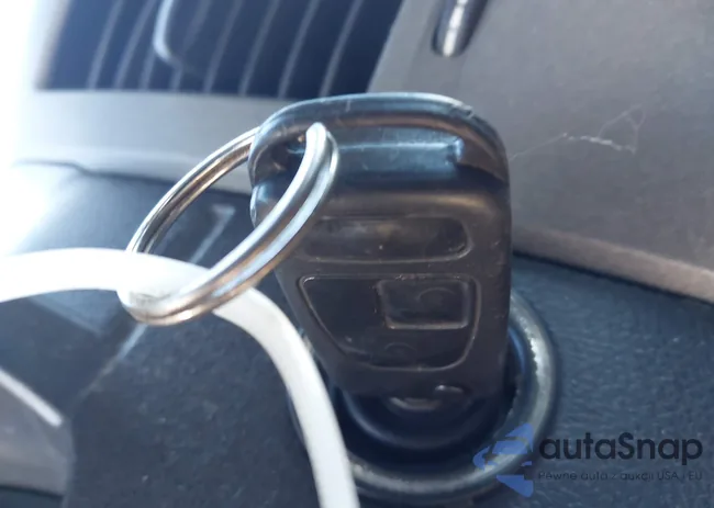 WD3PE8CB9B5603041: 44135071