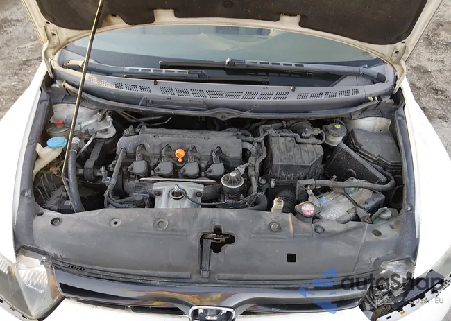 2HGFG12836H502568: 44135291