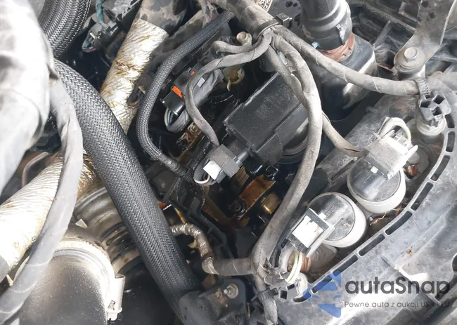 1FTEW1CPXLKD51333: 44135352