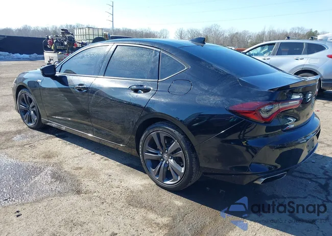 19UUB5F54PA005798: 44135419