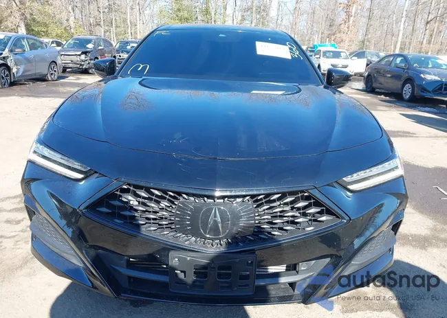 19UUB5F54PA005798: 44135419