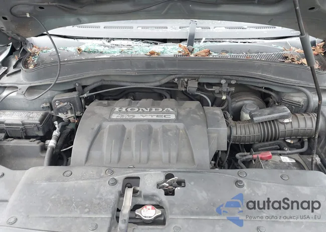 5FNYF18508B017580: 44136961