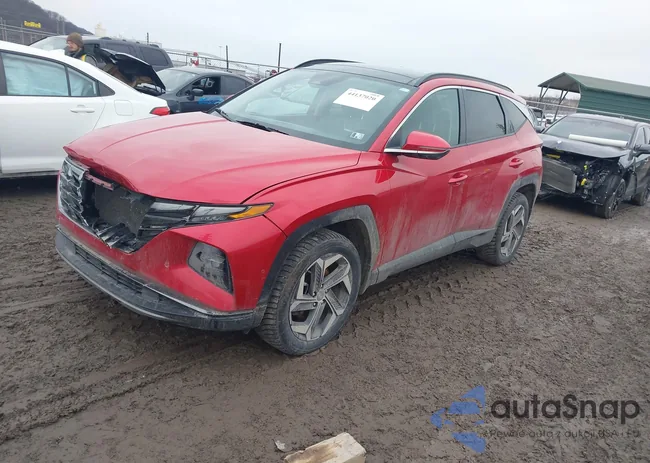 5NMJECAE7PH262299: 44137020