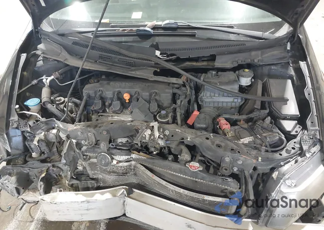 19XFB2F59DE265032: 44137571