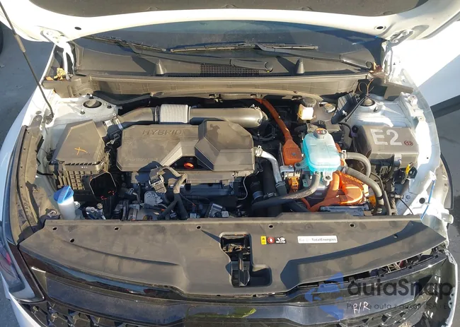 KNDPYDDHXS7215670: 44137799