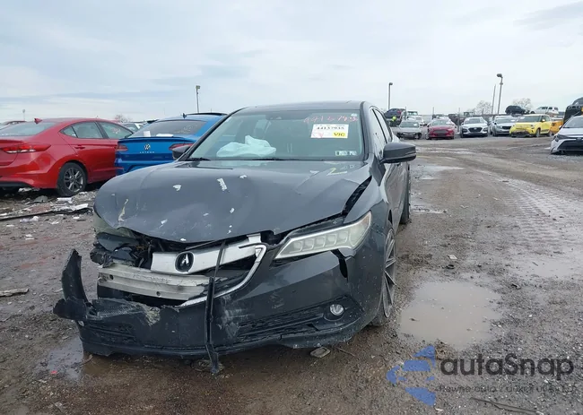 19UUB3F54FA005576: 44137935