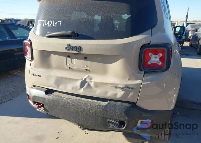 ZACCJBCB7HPF74247: 44137981