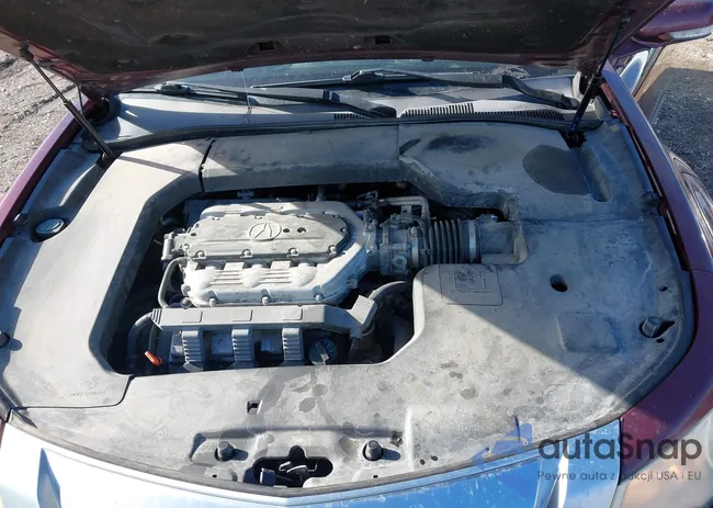 19UUA96599A001954: 44138007