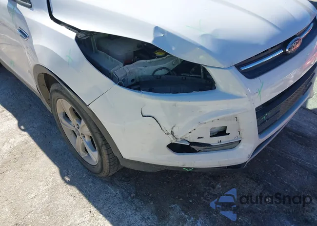 1FMCU0GX6EUA05509: 44137117