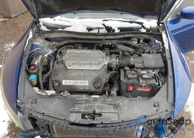 1HGCS2A89BA006238: 44137333