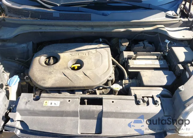 KNDJP3A50G7277437: 44137352