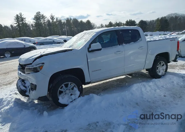 1GCGTCEN0K1164230: 44138514