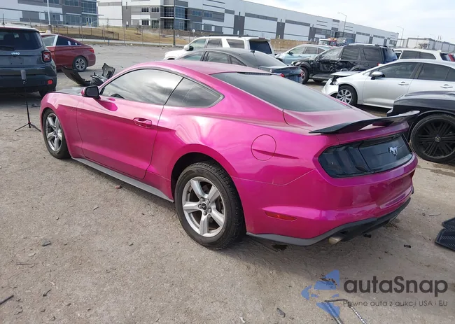 1FA6P8TH0J5183996: 44138571