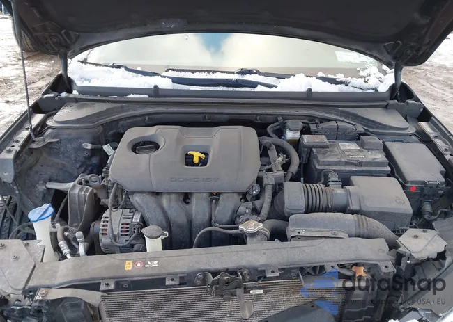 5NPD84LF0LH509353: 44138759