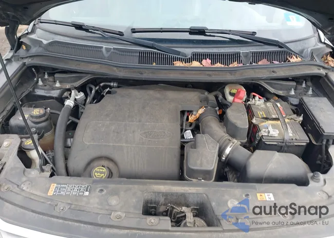 1FM5K8D80GGD08975: 44138813