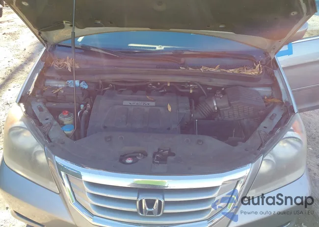 5FNRL3H76AB073331: 44139051