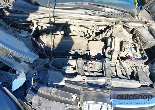 5J6RM4H30GL105934: 44138326