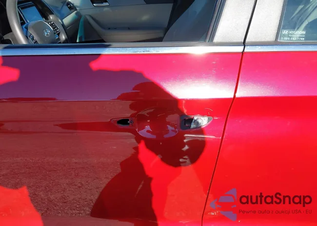 5NPE24AF4KH799331: 44138431