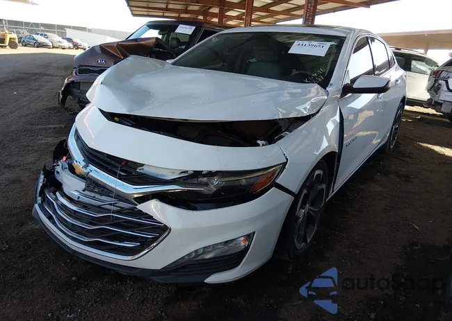 1G1ZD5ST3RF132687: 44139651