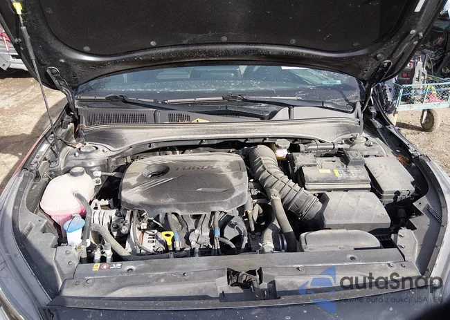 3KPF44ACXPE617163: 44139719