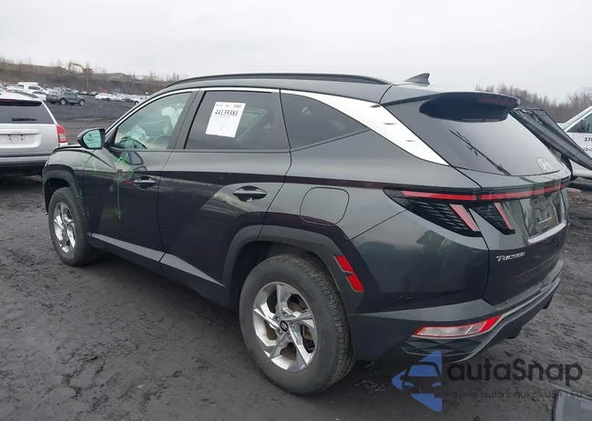 5NMJBCAE6PH202135: 44139381