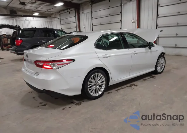 4T1F31AK0LU519484: 44141671