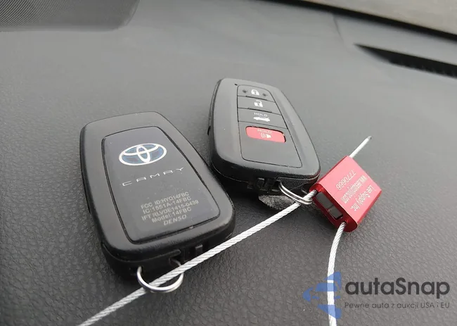 4T1F31AK0LU519484: 44141671