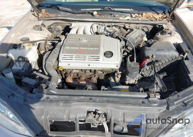 JT8BF28G510310505: 44141811