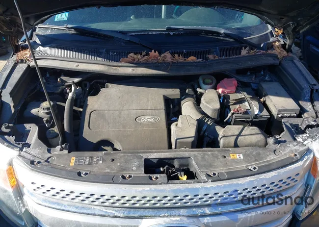 1FM5K8D86DGC47336: 44141959