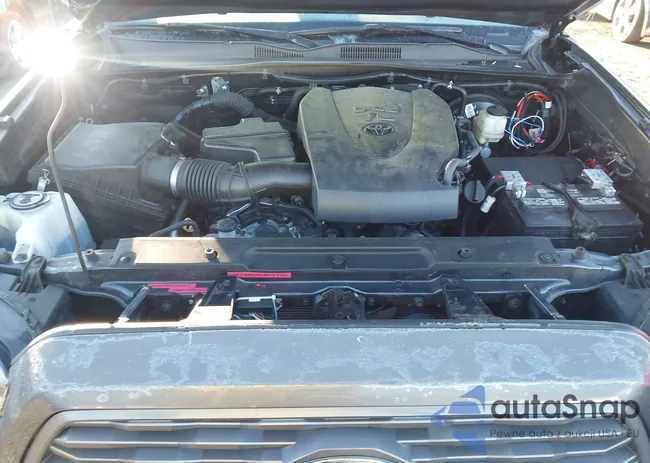 3TMDZ5BN2MM100830: 44142481