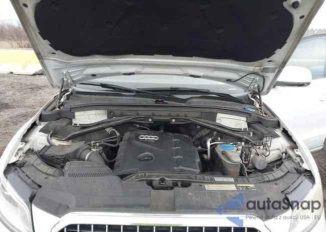 WA1LFAFP5DA019630: 44142579