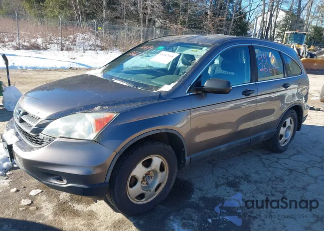 5J6RE4H31AL081017: 44142668