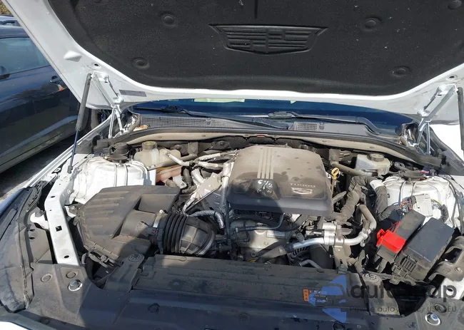 1G6DM5RK0M0114029: 44142750