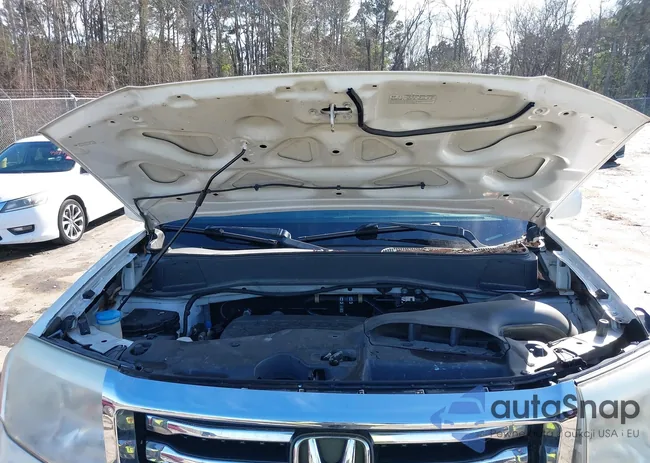 5FNYF3H97DB012286: 44142831