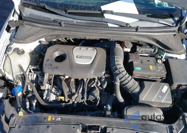 KMHD04LB7JU545558: 44142903