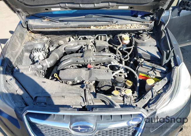 JF2GPACC4E8281557: 44142092