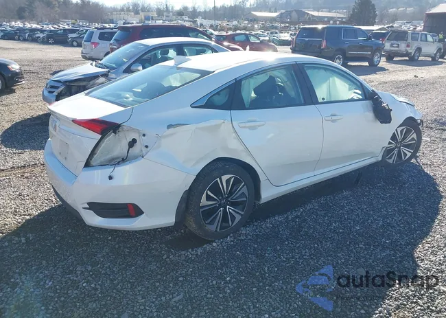 19XFC1F30HE012743: 44142252