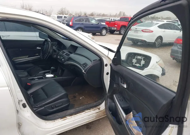 5J6TF3H54DL005231: 44142367