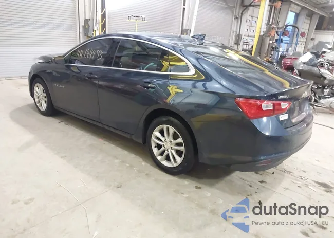 1G1ZE5ST5GF198202: 44144493