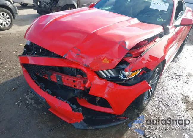 1FA6P8TH2F5433021: 44144619