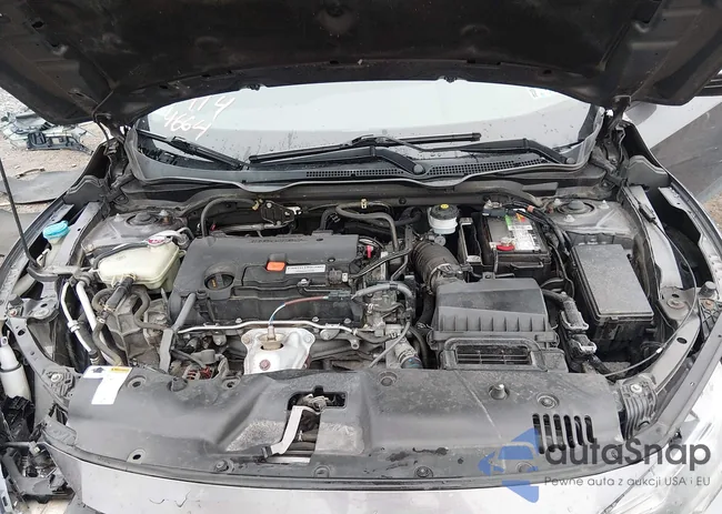 19XFC2F52GE239647: 44144664