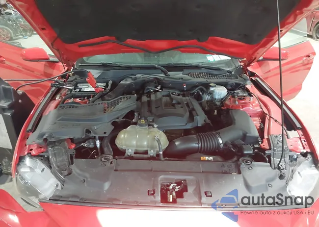 1FA6P8TH3J5113313: 44144991