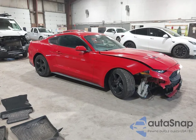 1FA6P8TH3J5113313: 44144991